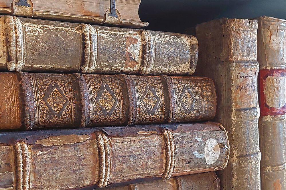 Kloster Wiblingen, Verzierte Buchrücken historischer Bände