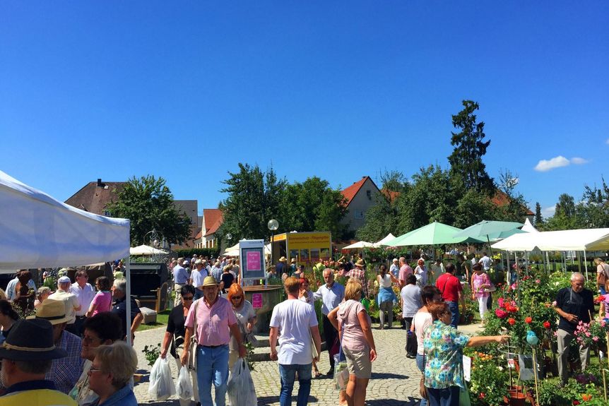 Kloster Wiblingen, Impression der Diga 